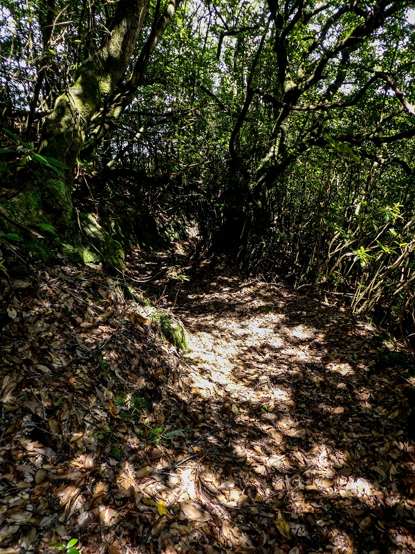 16.05.2019 Nochmals zum Poco das Pulgas, diesmal als Rundtour — Weiter auf die Traverse — Foto 30
