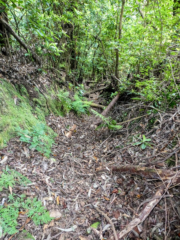 16.05.2019 Nochmals zum Poco das Pulgas, diesmal als Rundtour — Abstieg auf dem Maruja-Weg — Foto 2
