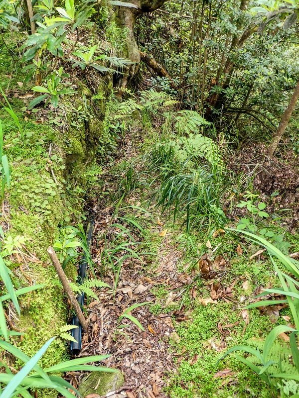 16.05.2019 Nochmals zum Poco das Pulgas, diesmal als Rundtour — Abstieg auf dem Maruja-Weg — Foto 4
