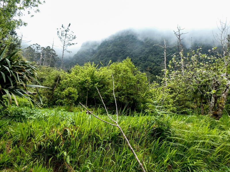16.05.2019 Nochmals zum Poco das Pulgas, diesmal als Rundtour — Abstieg auf dem Maruja-Weg — Foto 7