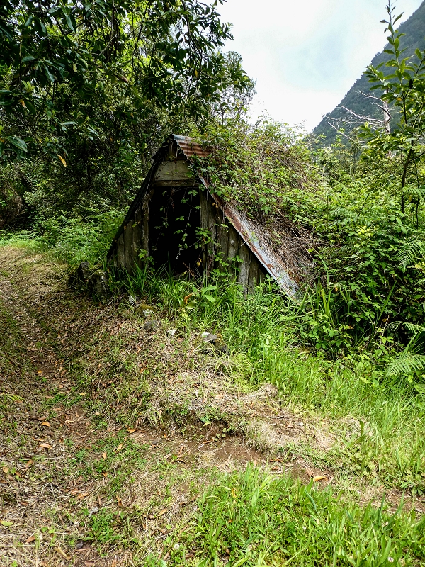 16.05.2019 Nochmals zum Poco das Pulgas, diesmal als Rundtour — Abstieg auf dem Maruja-Weg — Foto 11