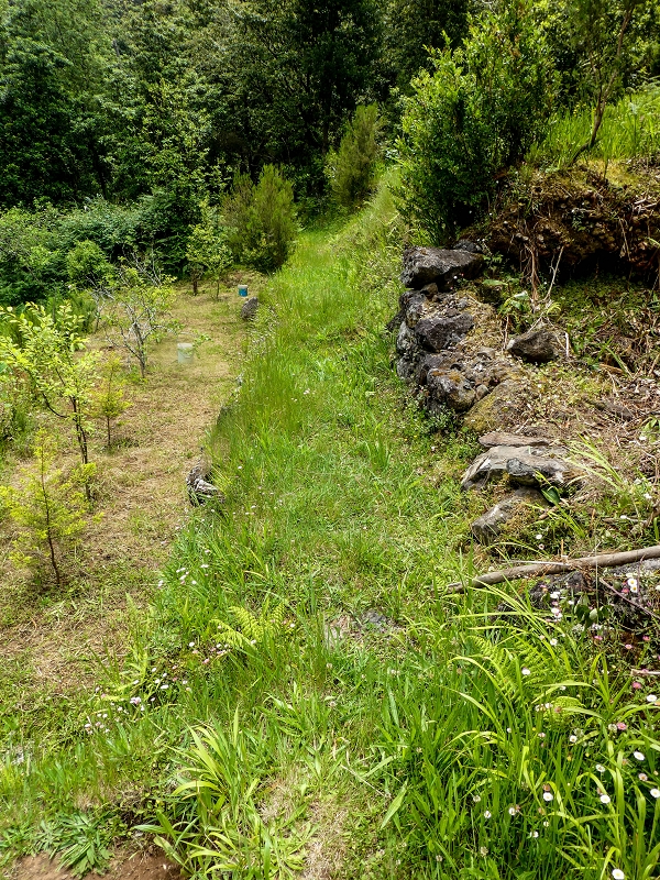 16.05.2019 Nochmals zum Poco das Pulgas, diesmal als Rundtour — Abstieg auf dem Maruja-Weg — Foto 13