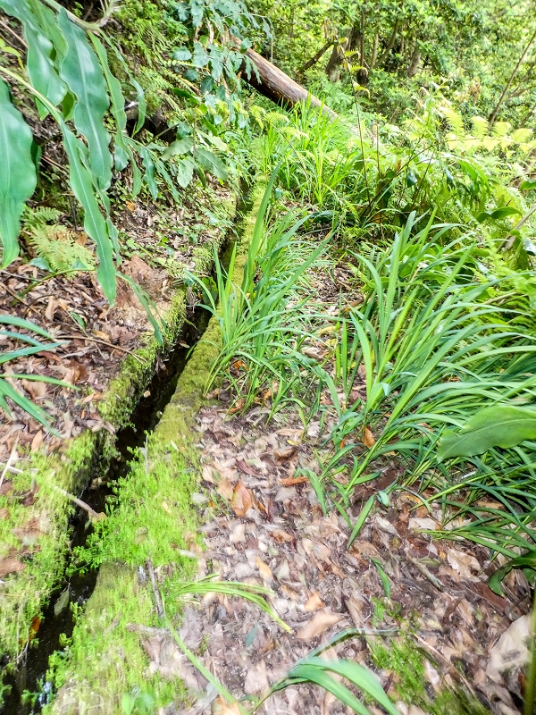 Levada da Cancela — Foto 6