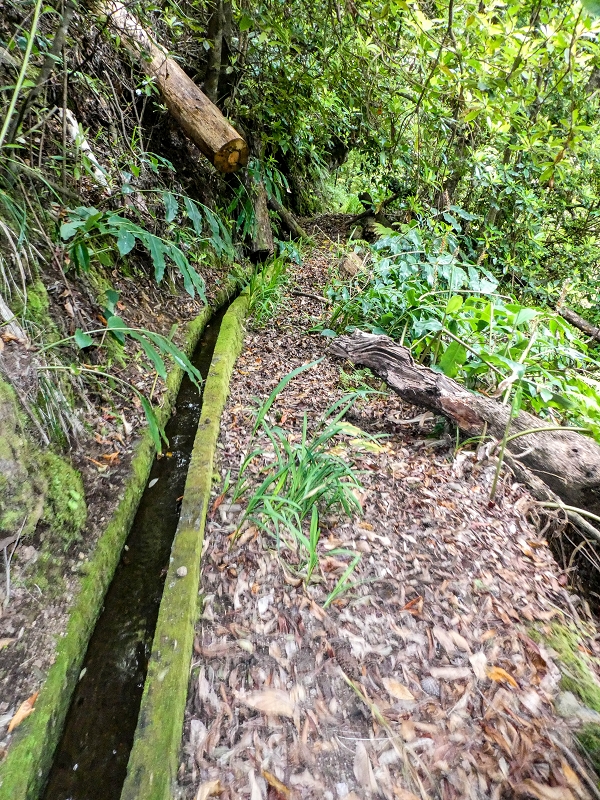 Levada da Cancela — Foto 7