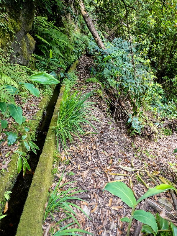 Levada da Cancela — Foto 8