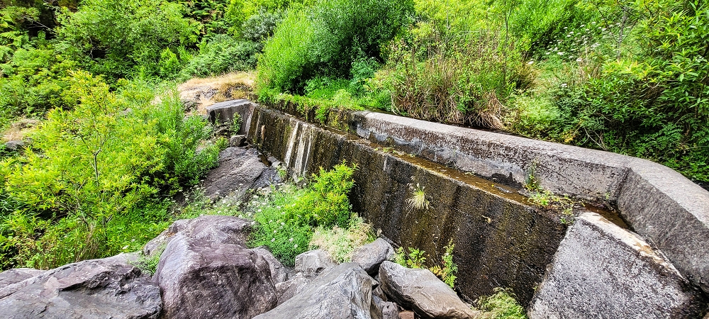 Levada da Fajã das Éguas — The Madre in 2022 — photo 3