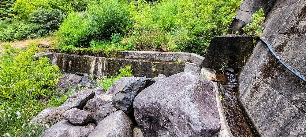 Levada da Fajã das Éguas — The Madre in 2022 — photo 4