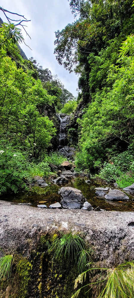 Levada da Pedreira — A Madre na Ribeira da Faja das Eguas — foto 1