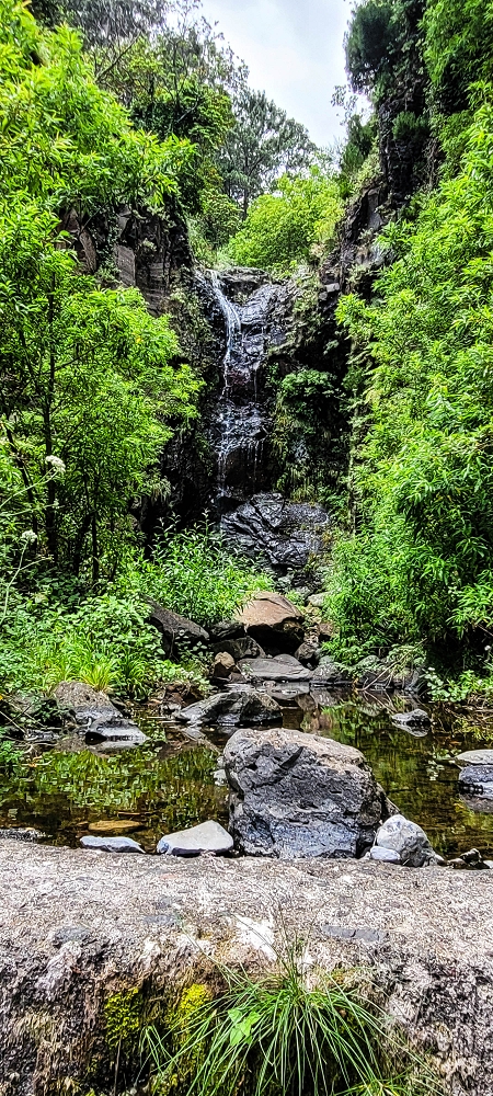 Levada da Pedreira — A Madre na Ribeira da Faja das Eguas — foto 2
