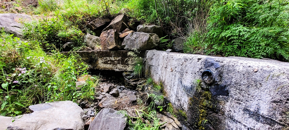 Levada da Pedreira — A Madre na Ribeira da Faja das Eguas — foto 3