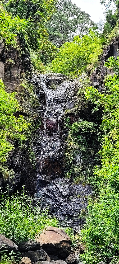 Levada da Pedreira — A Madre na Ribeira da Faja das Eguas — foto 4