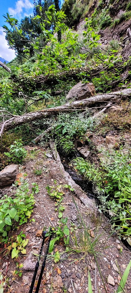 Levada da Pedreira — Os primeiros metros pela escombreira — foto 1
