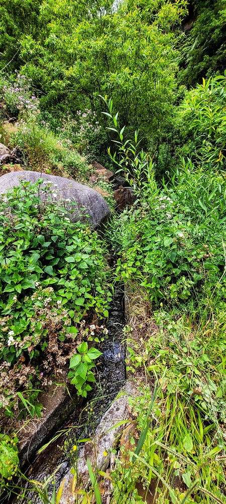 Levada da Pedreira — Os primeiros metros pela escombreira — foto 2