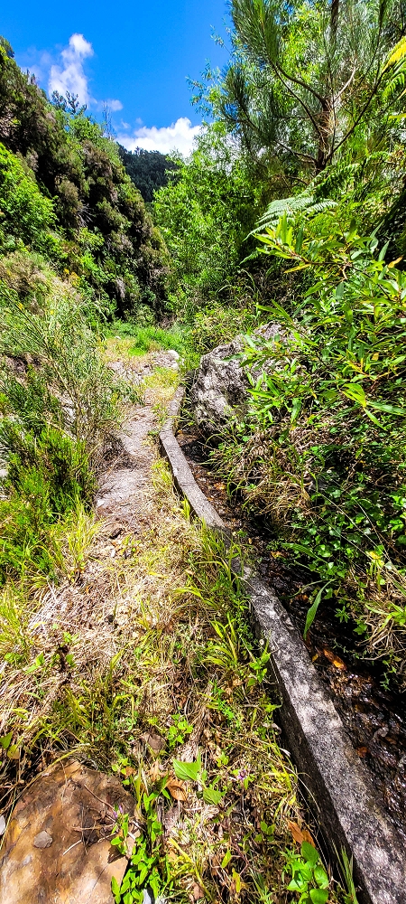 Levada da Pedreira — Com vista vale abaixo — foto 2