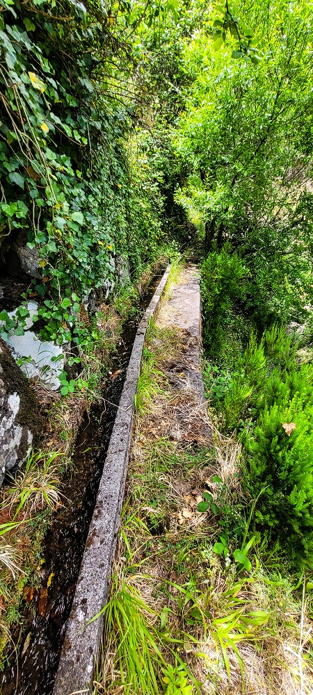 Levada da Pedreira — Com vista vale abaixo — foto 3