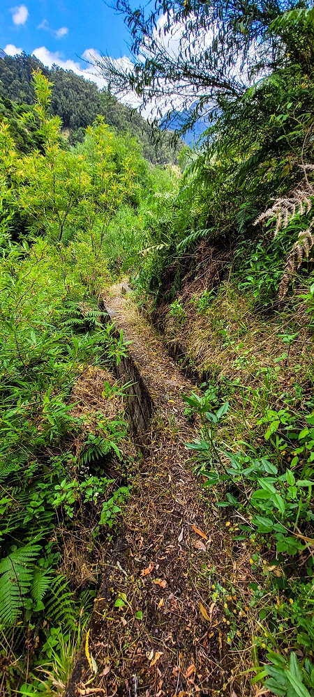 Levada da Pedreira — Com vista vale abaixo — foto 5