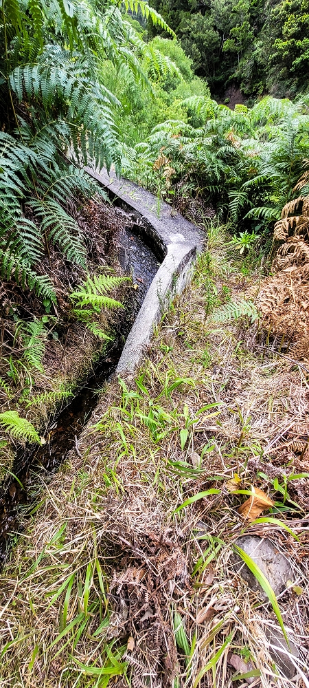 Levada da Pedreira — Com vista vale abaixo — foto 6