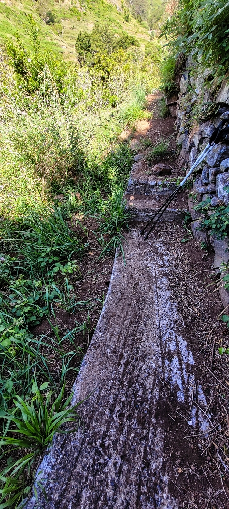 16.06.2022 Levadaexpedition in Serra de Agua — Zufluss von der Levada da Achadinha und Abzweigung der Levada da Faja dos Vinhaticos Richtung Madre — Foto 3