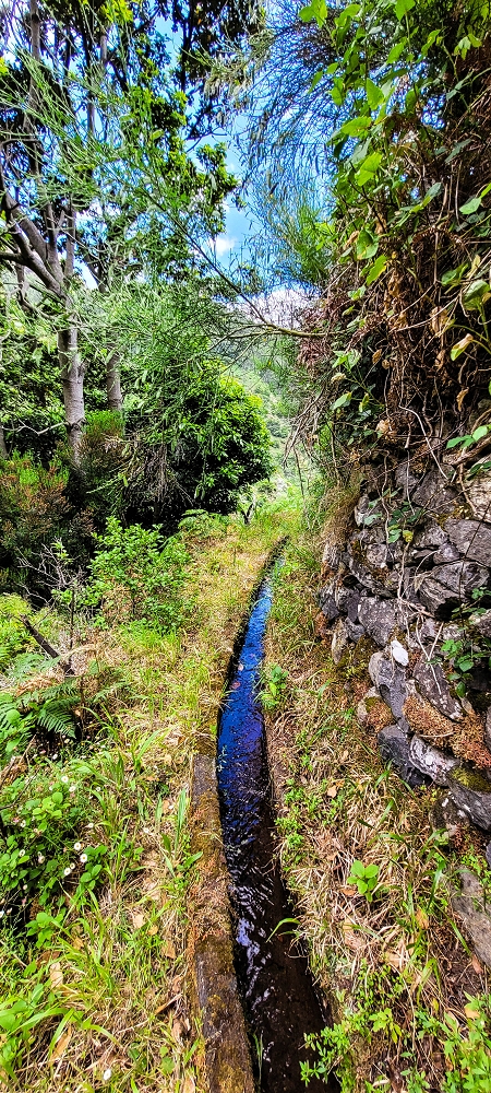 Levada da Pedreira — Com vista vale abaixo — foto 8