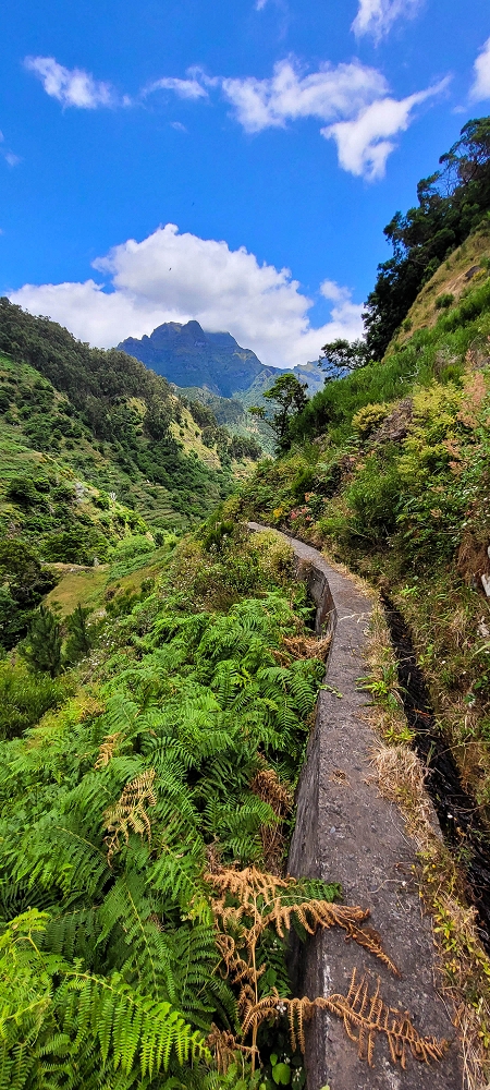 Levada da Pedreira — Com vista vale abaixo — foto 9