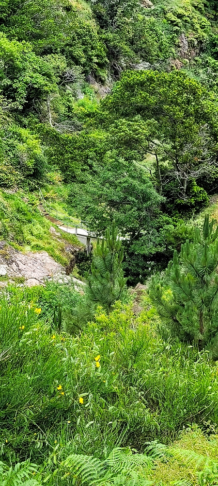 Levada da Pedreira — Com vista vale abaixo — foto 10