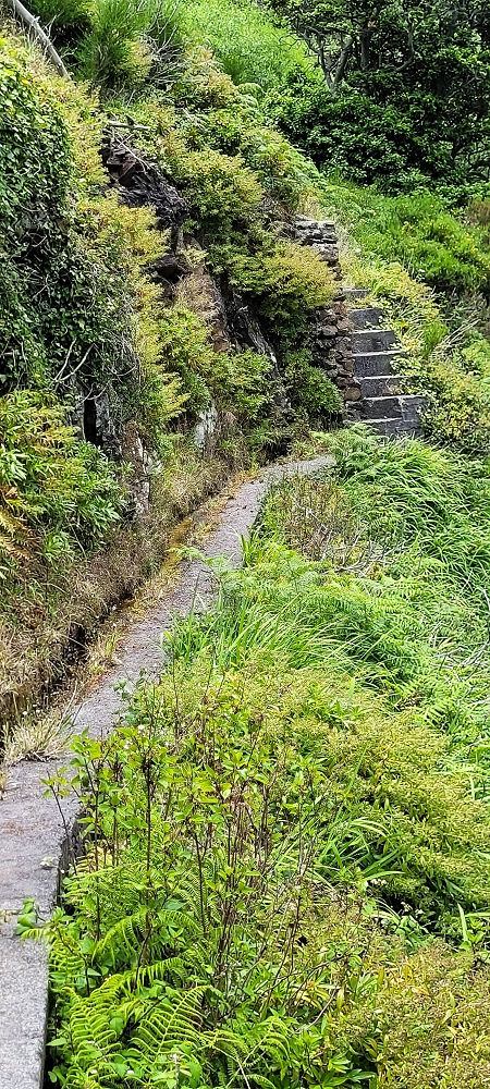 Levada da Pedreira — Com vista vale abaixo — foto 12