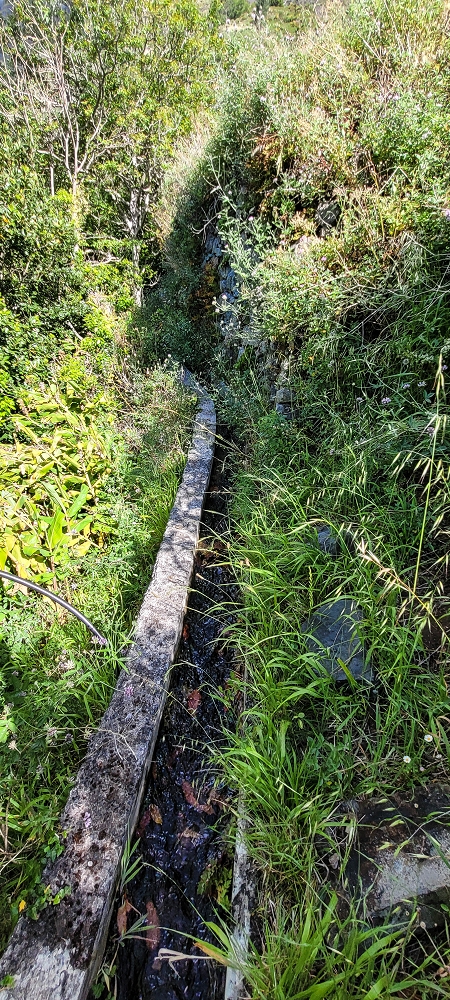 Levada da Faja dos Vinhaticos — Bis zur Vereda do Pico Redondo — Foto 5