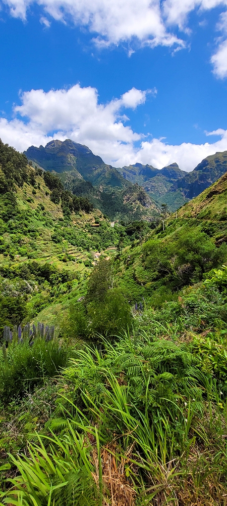 Levada da Pedreira — Com vista vale abaixo — foto 18