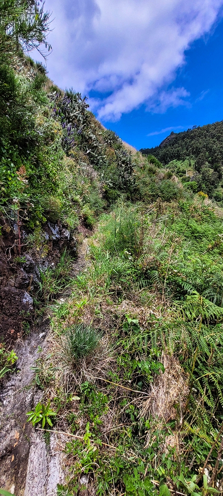 Levada da Pedreira — Com vista vale abaixo — foto 24