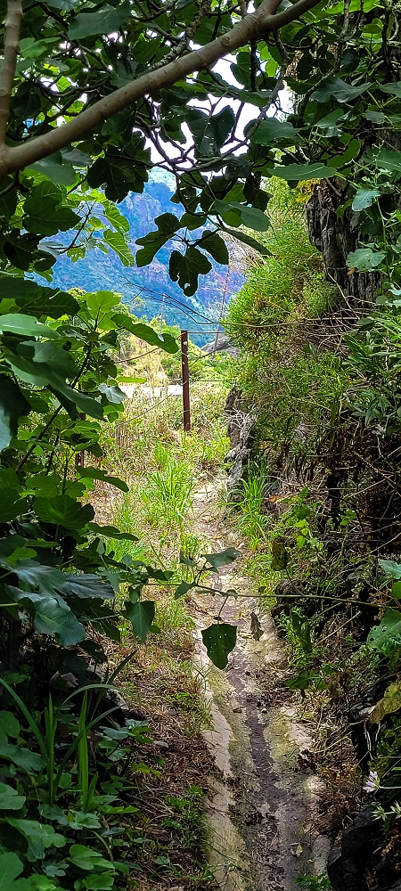 Levada da Pedreira — O primeiro ponto exposto — foto 1
