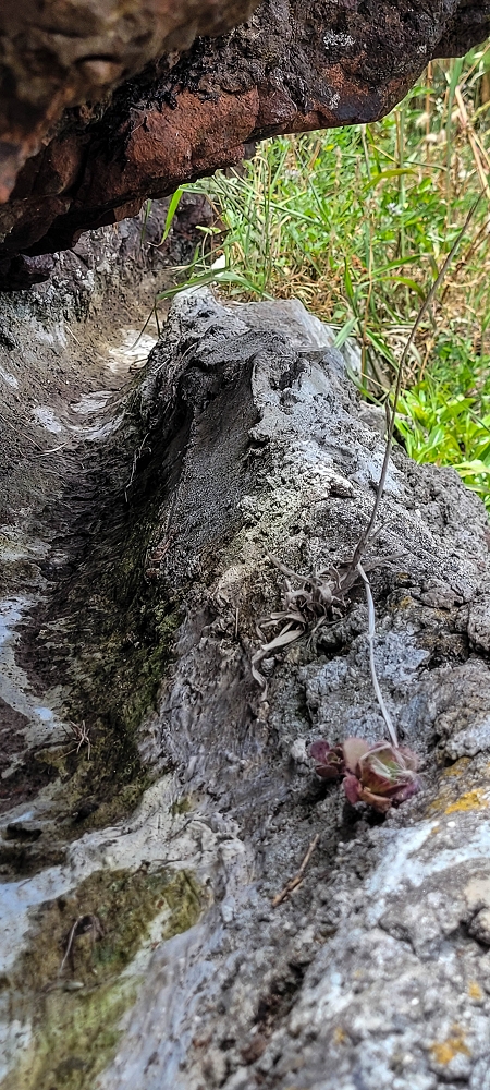 Levada da Pedreira — O primeiro ponto exposto — foto 3