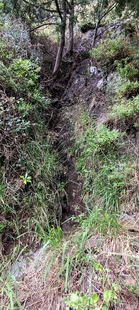 Levada da Pedreira — O primeiro ponto exposto — foto 9