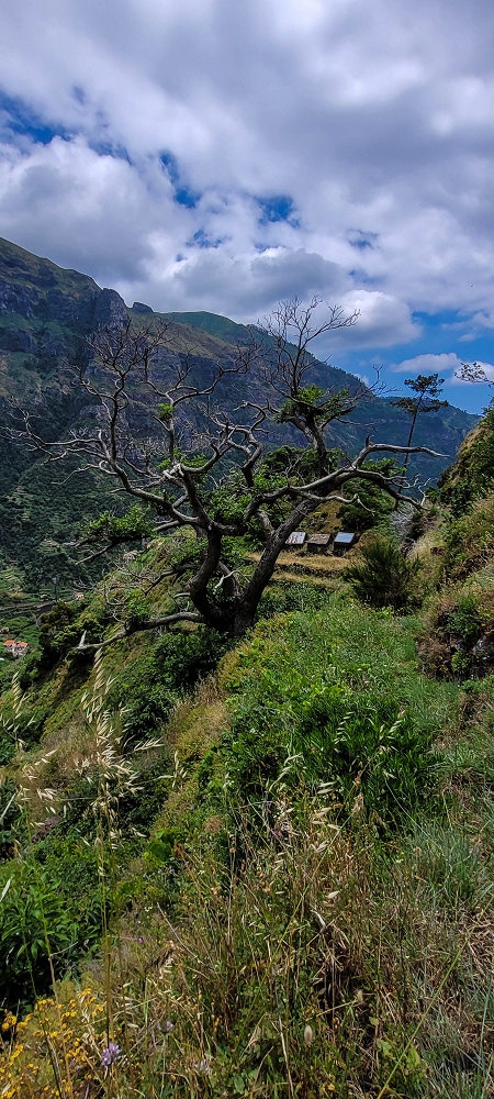 Levada da Pedreira — O primeiro ponto exposto — foto 11