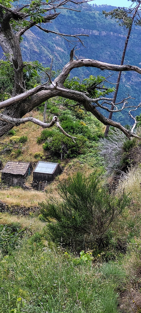 Levada da Pedreira — Seguindo na Levada da Pedreira — foto 2
