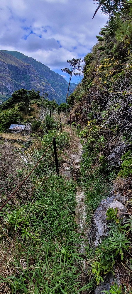 Levada da Pedreira — Seguindo na Levada da Pedreira — foto 3