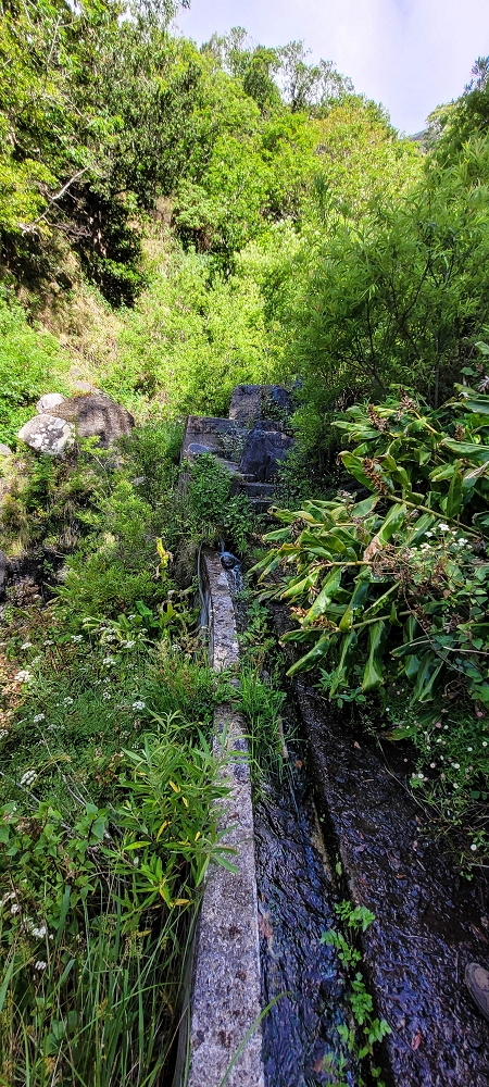 Levada da Faja dos Vinhaticos — Die Madre im Nebenast der Ribeira da Faja das Eguas — Foto 1