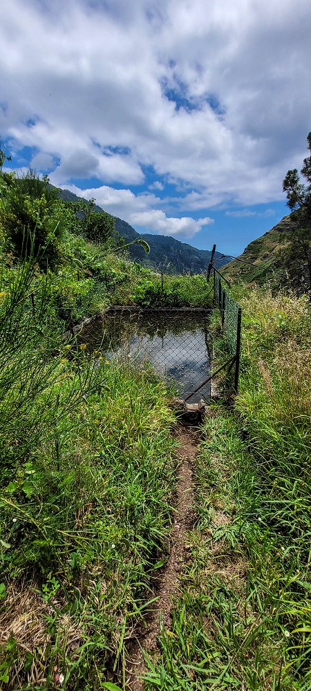 Levada da Pedreira — A cascata e depois pelo corte no terreno até à bacia de armazenamento — foto 6