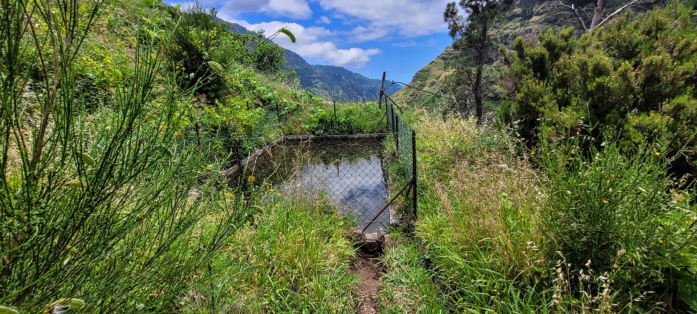 Levada da Pedreira — A cascata e depois pelo corte no terreno até à bacia de armazenamento — foto 7