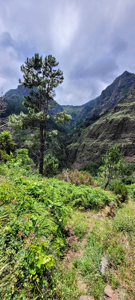 Levada da Pedreira — A cascata e depois pelo corte no terreno até à bacia de armazenamento — foto 3