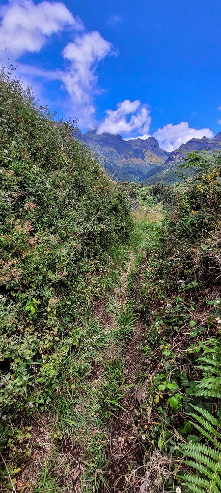 Levada da Pedreira — A cascata e depois pelo corte no terreno até à bacia de armazenamento — foto 5