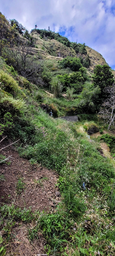 Levada da Eira da Moura — Seguimento até ao fim — foto 15
