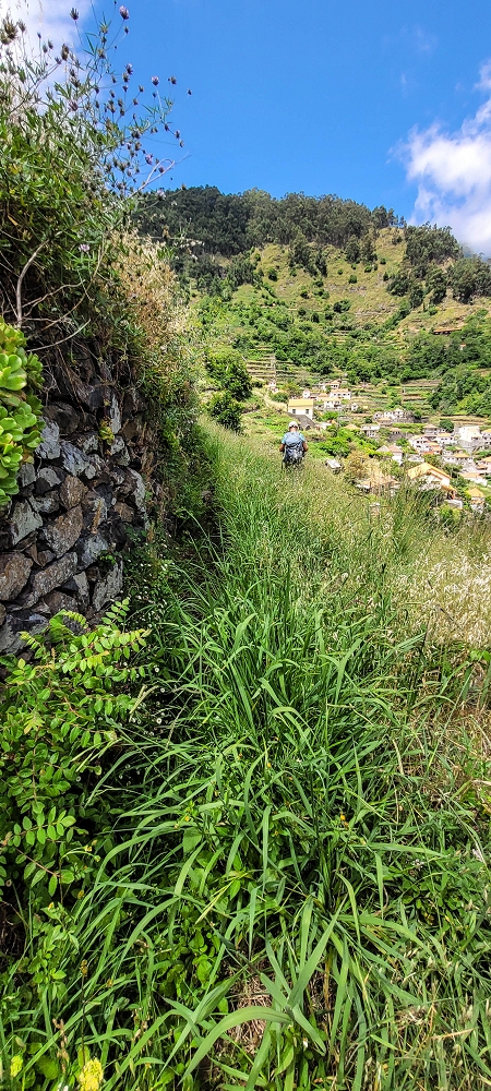 Levada da Eira da Moura — Seguimento até ao fim — foto 11