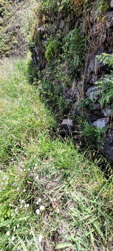 Levada da Eira da Moura — Seguimento até ao fim — foto 10