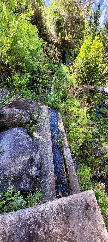 Levada da Faja dos Vinhaticos — Die Madre im Nebenast der Ribeira da Faja das Eguas — Foto 3
