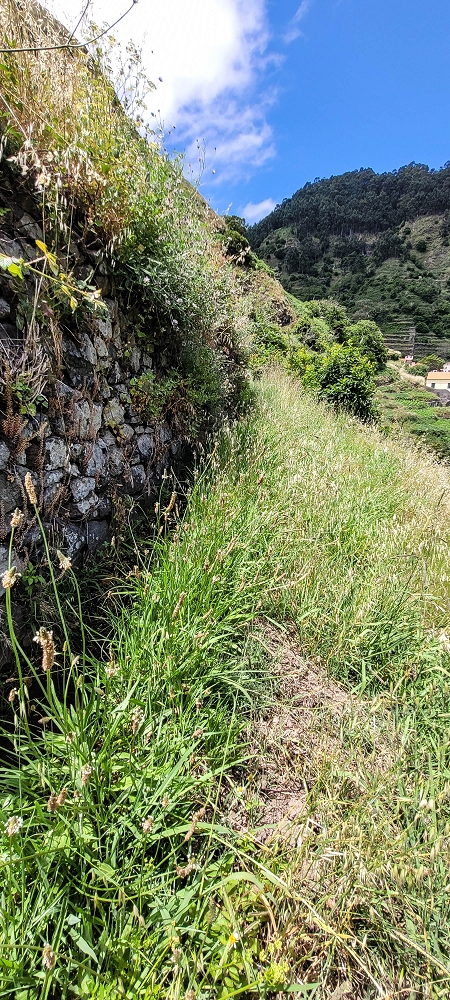 Levada da Eira da Moura — Seguimento até ao fim — foto 9