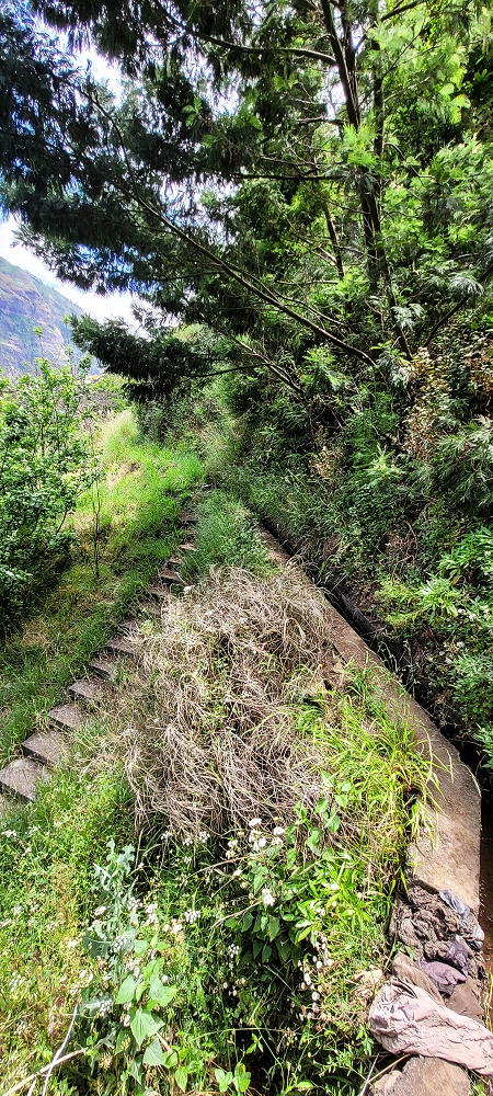 Levada da Eira da Moura — Seguimento até ao fim — foto 8