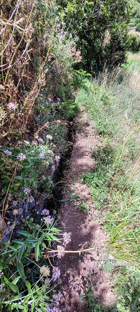 Levada da Eira da Moura — Seguimento até ao fim — foto 6