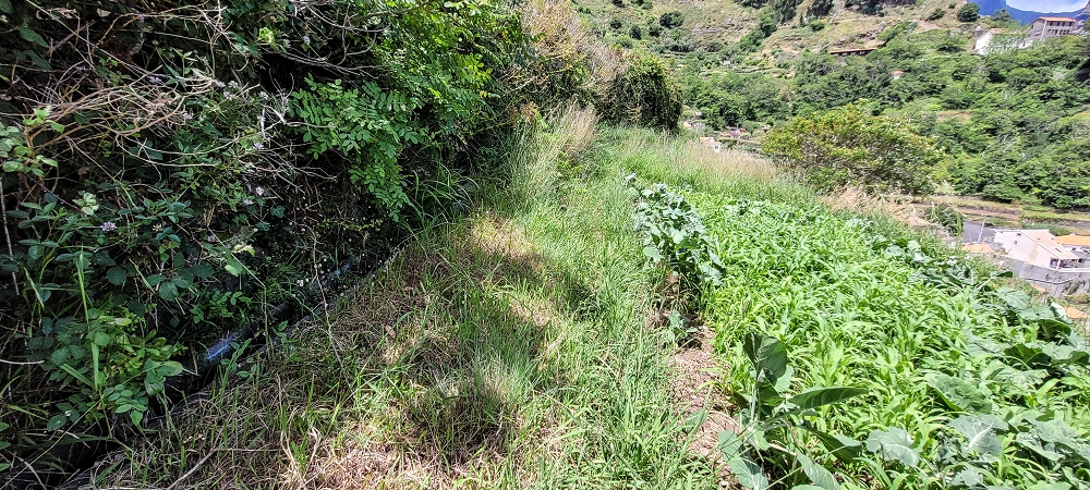 Levada da Eira da Moura — Seguimento até ao fim — foto 5