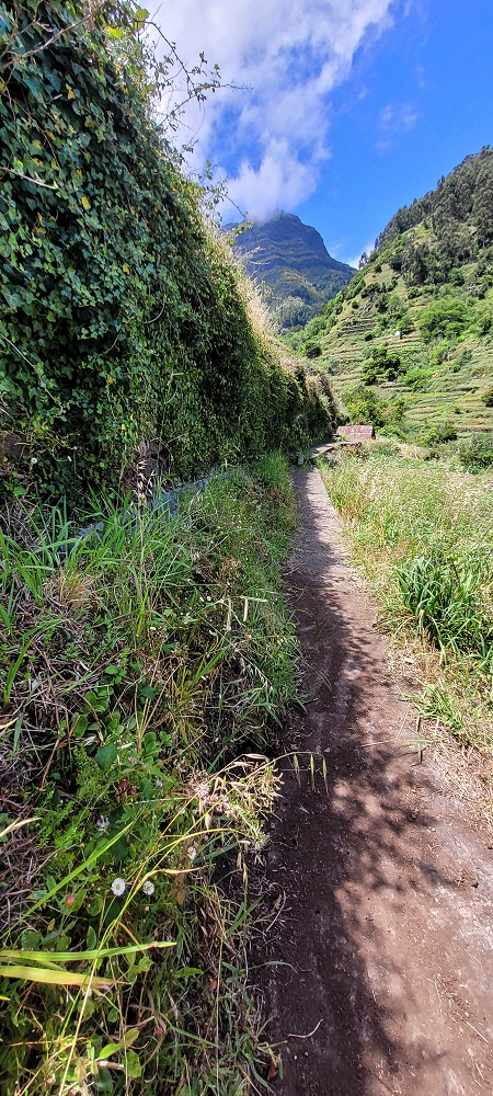 Levada da Eira da Moura — Seguimento até ao fim — foto 2