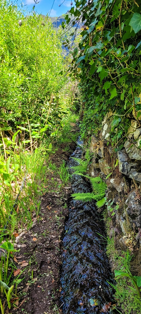 Levada da Eira da Moura — Percurso até à escadaria da levada — foto 6